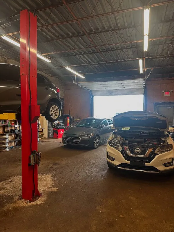 Nissan — Eastern Fine Motors, St. John's