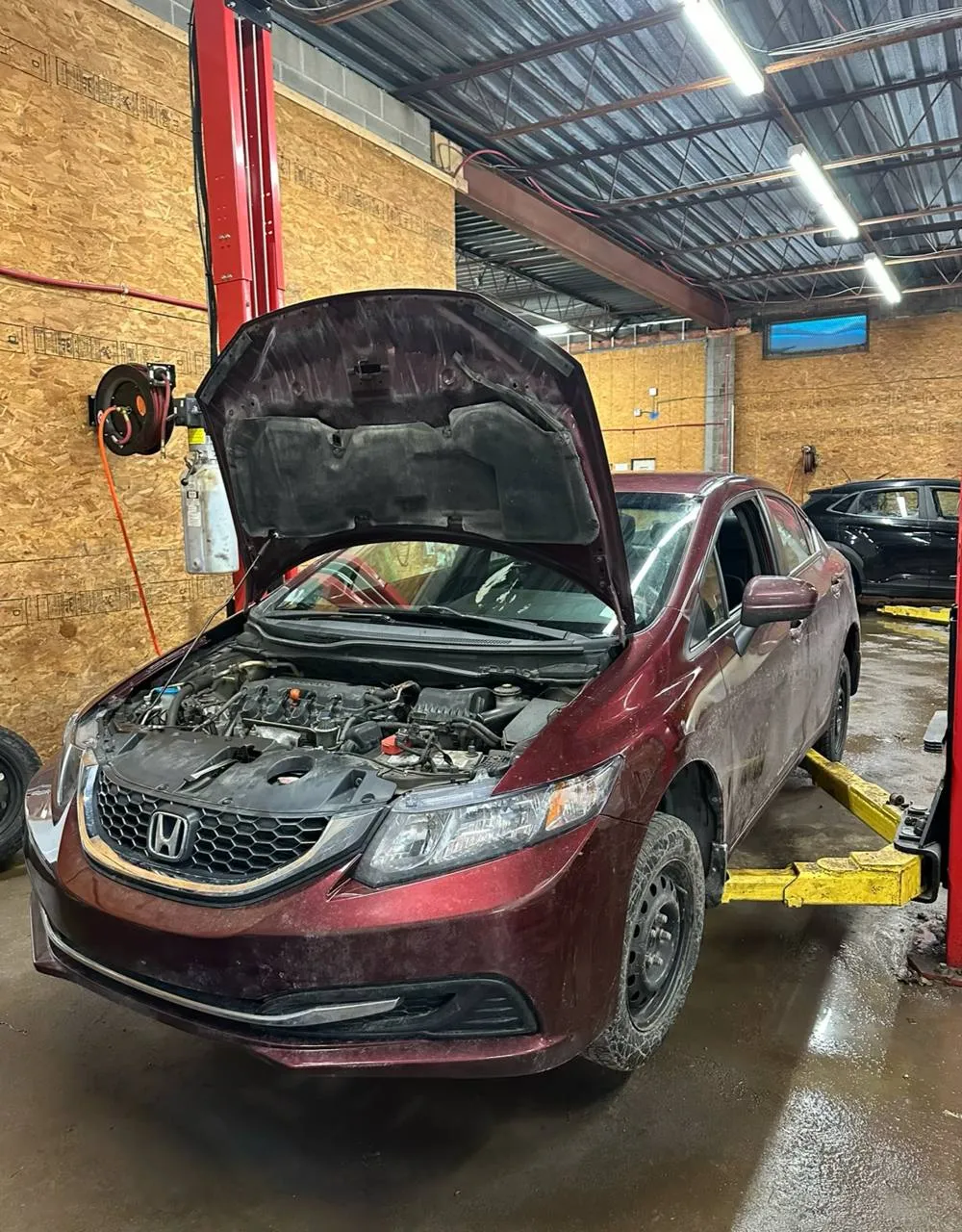 Honda Civic — Eastern Fine Motors, St. John's